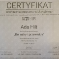 Powiększ obraz: certificate 8