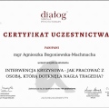 Powiększ obraz: certificate 5