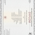 Powiększ obraz: certificate 1