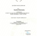 Powiększ obraz: certificate 12