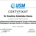 Powiększ obraz: certificate 2