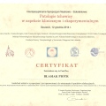 Powiększ obraz: certificate 46