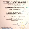 Powiększ obraz: certificate 2