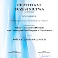 Powiększ obraz: certificate 7