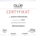 Powiększ obraz: certificate 3