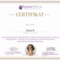 Powiększ obraz: certificate 13