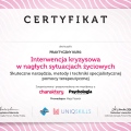 Powiększ obraz: certificate 2
