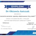 Powiększ obraz: certificate 3