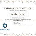 Powiększ obraz: certificate 13