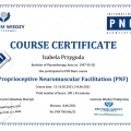 Powiększ obraz: certificate 2