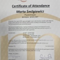 Powiększ obraz: certificate 2