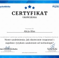 Powiększ obraz: certificate 3