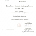 Powiększ obraz: certificate 1