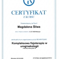 Powiększ obraz: certificate 4