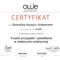 Powiększ obraz: certificate 3