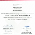 Powiększ obraz: certificate 13
