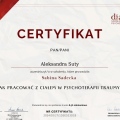 Powiększ obraz: certificate 3