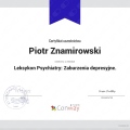 Powiększ obraz: certificate 17