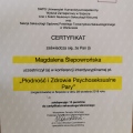 Powiększ obraz: certificate 2