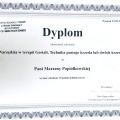 Powiększ obraz: certificate 18