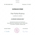 Powiększ obraz: certificate 1