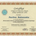 Powiększ obraz: certificate 7
