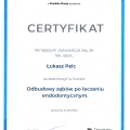 Powiększ obraz: certificate 25