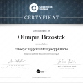 Powiększ obraz: certificate 11