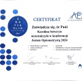 Powiększ obraz: certificate 3