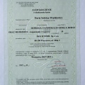 Powiększ obraz: certificate 13