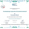 Powiększ obraz: certificate 17