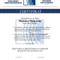 Powiększ obraz: certificate 1