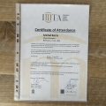 Powiększ obraz: certificate 31