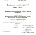 Powiększ obraz: certificate 11