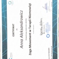 Powiększ obraz: certificate 3