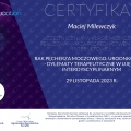 Powiększ obraz: certificate 7