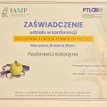 Powiększ obraz: certificate 6