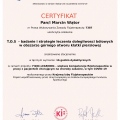 Powiększ obraz: certificate 5