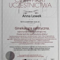 Powiększ obraz: certificate 5