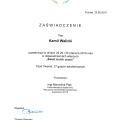 Powiększ obraz: certificate 10