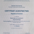 Powiększ obraz: certificate 10