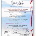 Powiększ obraz: certificate 3