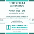 Powiększ obraz: certificate 2