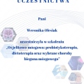 Powiększ obraz: certificate 11