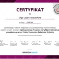 Powiększ obraz: certificate 1
