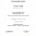 Powiększ obraz: certificate 2