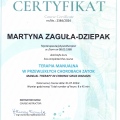 Powiększ obraz: certificate 23