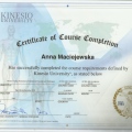 Powiększ obraz: certificate 1