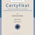 Powiększ obraz: certificate 3