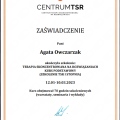 Powiększ obraz: certificate 2